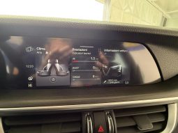 ALFA ROMEO Stelvio pieno