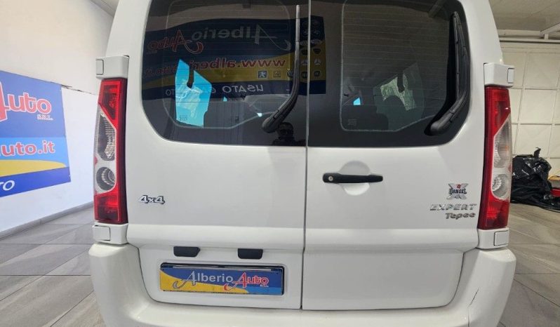 PEUGEOT Expert pieno