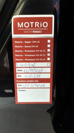 RENAULT Scenic pieno