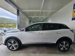PEUGEOT 3008 pieno