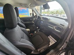 Jeep Renegade pieno