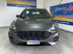Ford Kuga pieno