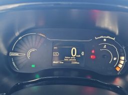 Dacia Spring pieno