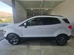 Ford EcoSport pieno