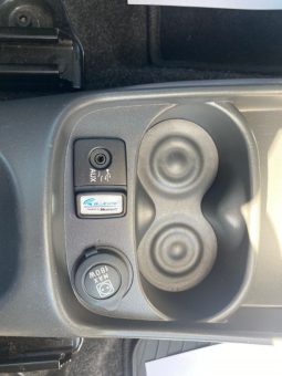 Fiat 500 pieno