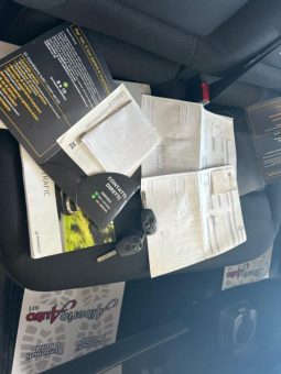 Renault Trafic pieno