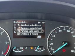 Ford EcoSport pieno
