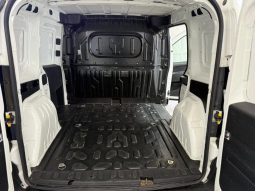 Fiat Doblo pieno