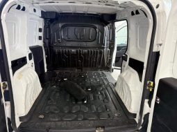 Fiat Doblo pieno