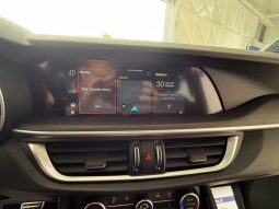 Alfa Romeo Stelvio pieno
