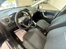 Ford Fiesta pieno