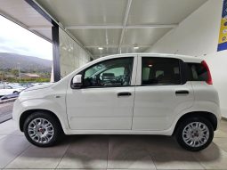 Fiat Panda pieno