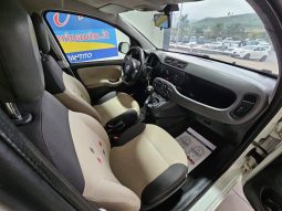 Fiat Panda pieno