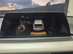 BMW 320 pieno