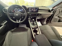 Alfa Romeo Tonale pieno