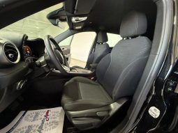 Alfa Romeo Tonale pieno