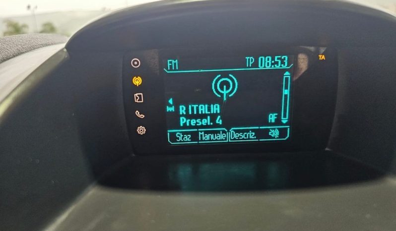 Ford Fiesta pieno