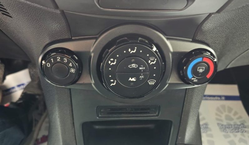 Ford Fiesta pieno