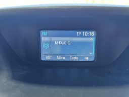 Ford EcoSport pieno