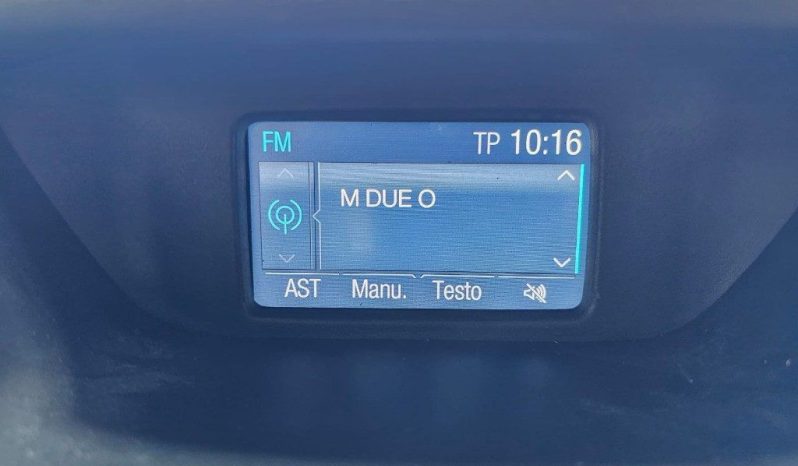 Ford EcoSport pieno