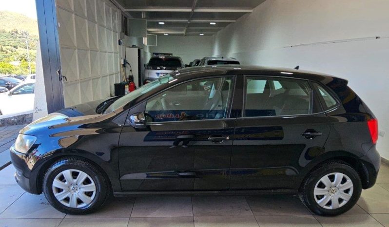 Volkswagen Polo pieno
