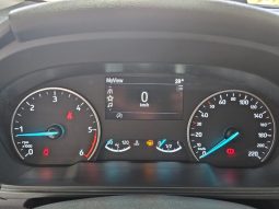 Ford EcoSport pieno