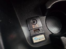 Fiat Punto Evo 5 Porte pieno