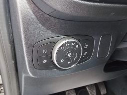 Ford Puma pieno