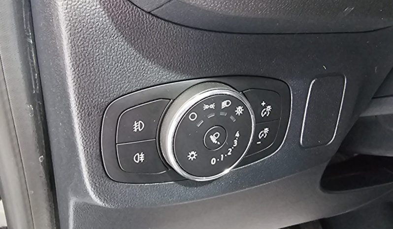 Ford Puma pieno