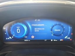 Ford Puma pieno
