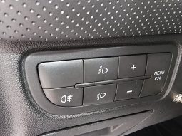 Fiat Punto Evo 5 Porte pieno