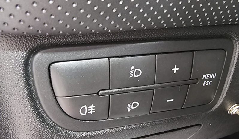 Fiat Punto Evo 5 Porte pieno