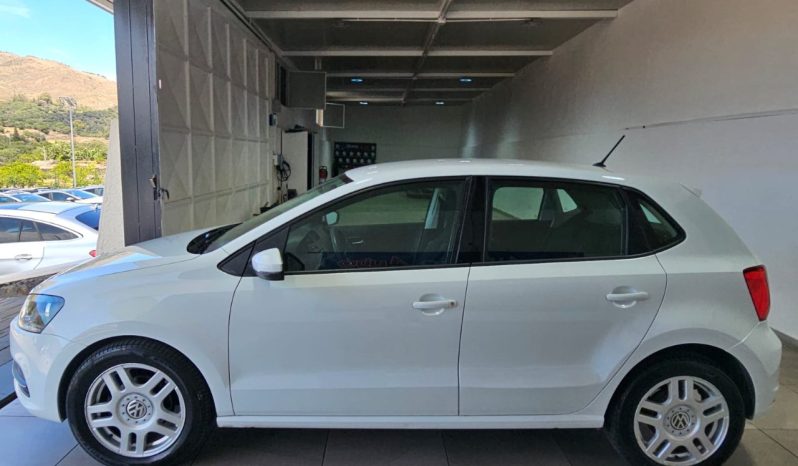 Volkswagen Polo 5 Porte pieno