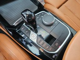 BMW X4 pieno