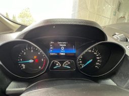Ford C-Max pieno