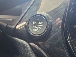 Ford Puma pieno