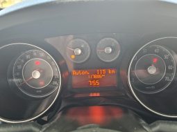 Fiat Punto Evo 5 Porte pieno