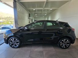 Ford Puma pieno