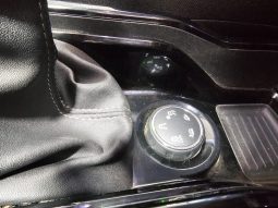 Peugeot 2008 pieno
