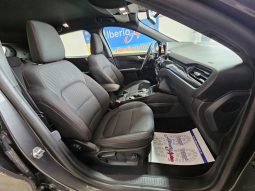 Ford Kuga pieno