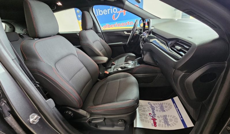 Ford Kuga pieno