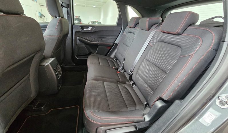 Ford Kuga pieno
