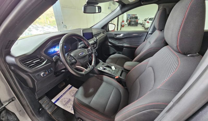 Ford Kuga pieno
