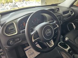 Jeep Renegade pieno