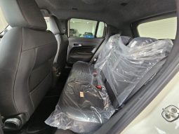 Jeep Avenger pieno
