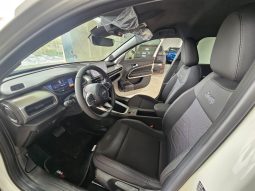 Jeep Avenger pieno