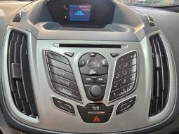 Ford C-Max pieno
